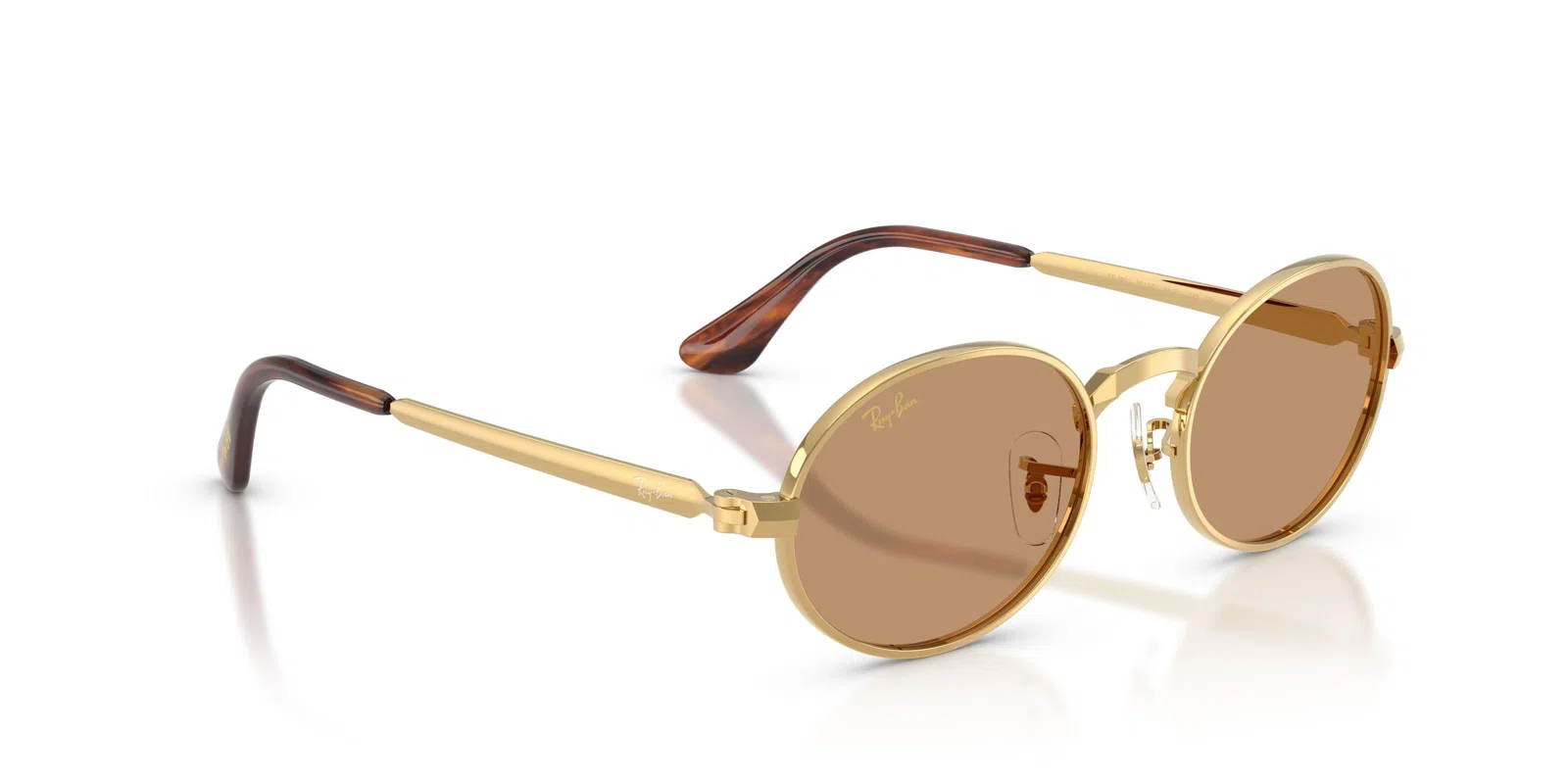 Ray-Ban 3931 Sunglasses - view 22
